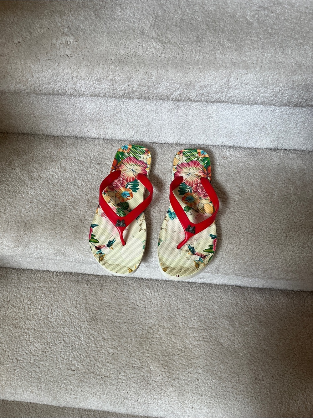 Johnny Was Red Strap Floral Cream Flip Sandals